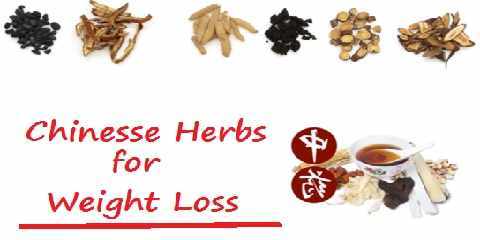 weight loss chinese herbs