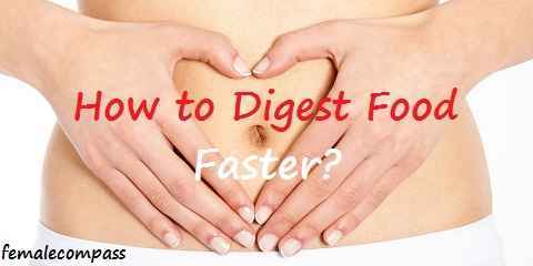 how to digest food faster and quickly